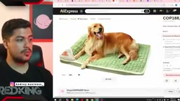 Screenshot real del video: Landing Page Profesional Dropshipping: Guía Paso a Paso 2026